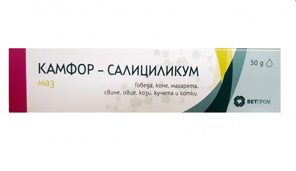 Camphor-Salicylicum / Камфор-Салициликум маз - Image 1