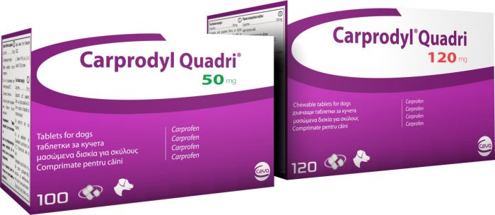 Carprodyl Quadri 120 mg / Карпродил Куадри 120 мг - Image 1