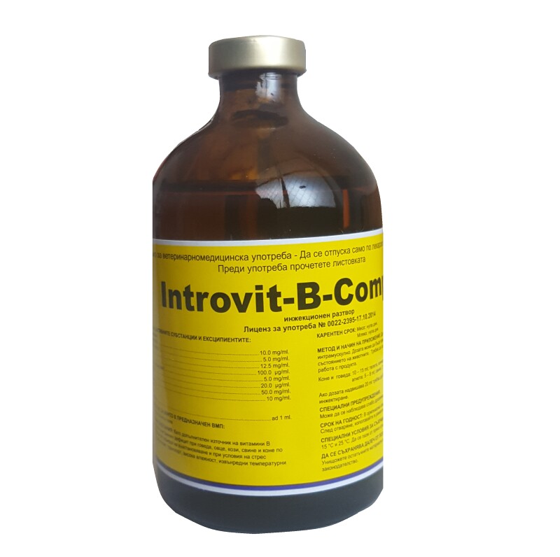 Introvit B-Complex / Интровит-Б-Комплекс - Image 1