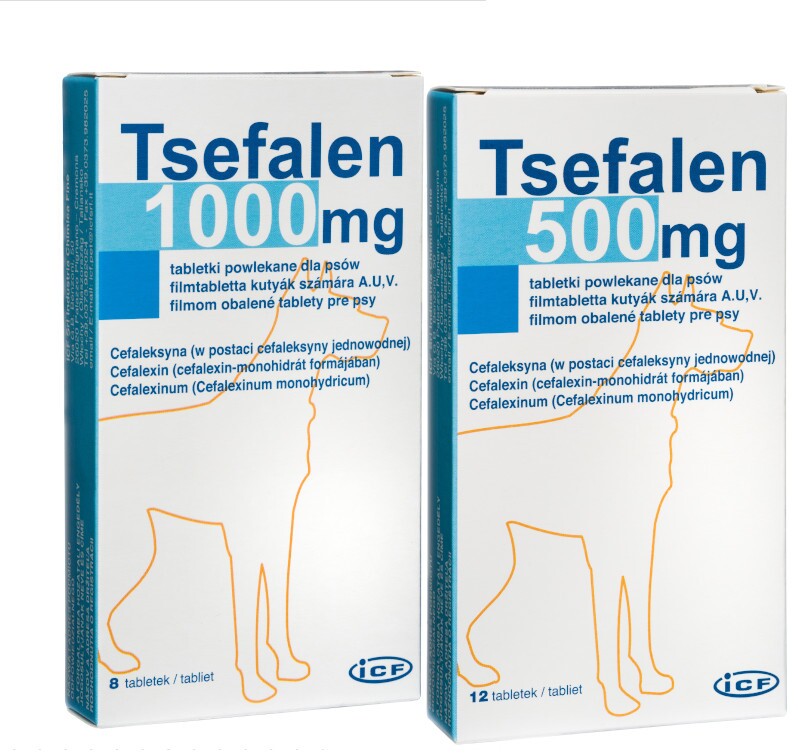 Tsefalen500-1000 Tsefalen 1000 mg / Цефален 1000 мг филмирани таблетки за кучета - Image 1