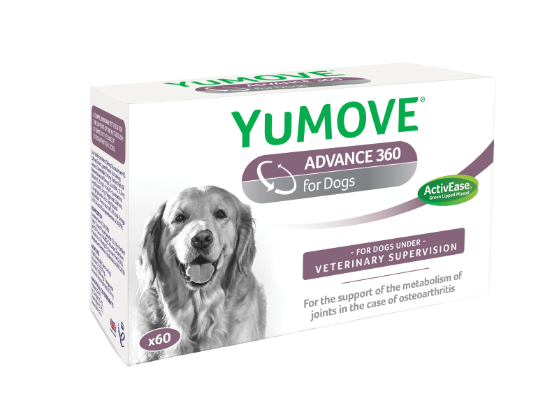 YuMOVE-2020-ADV-360-60-Pack YuMove Advance 360 for Dogs - овкусени таблетки за ставни проблеми с екстракт от зеленоуста мида с усилена формула за кучета 270 табл. - Image 1