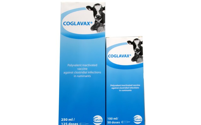 Coglavax / Коглавакс - Image 1