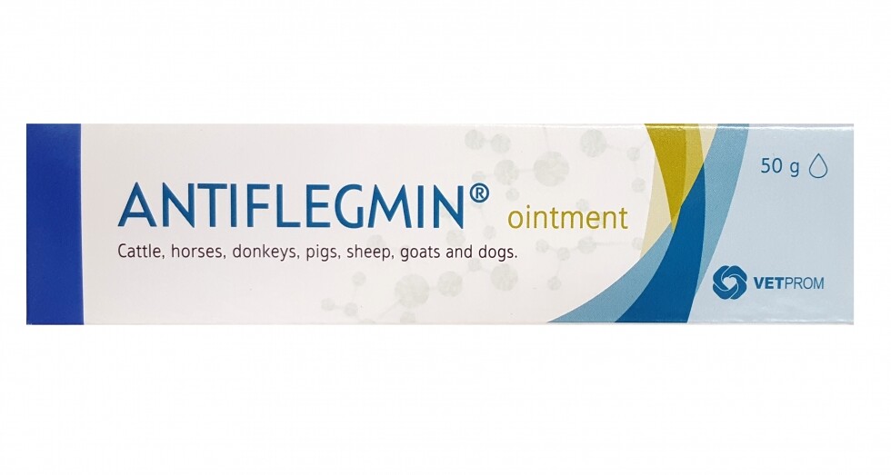 images Antiflegmin Ointment / Антифлегмин мазило - Image 1