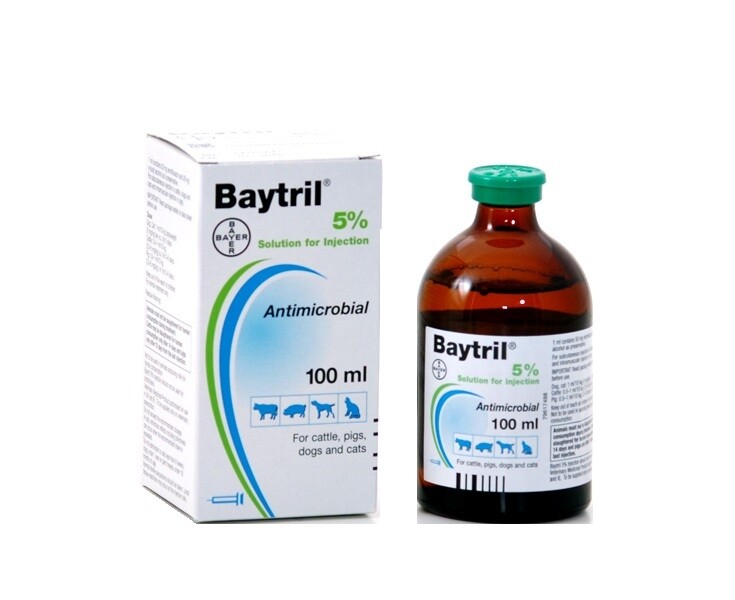 Baytril 5% inj. sol. / Байтрил 5% инжекционен разтвор - Image 1