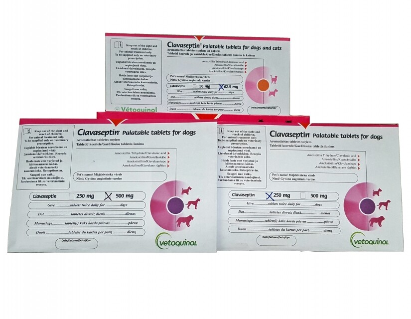 Clavaseptin 62,5 mg / Клавасептин 62,5 мг овкусени таблети за кучета и котки - Image 1
