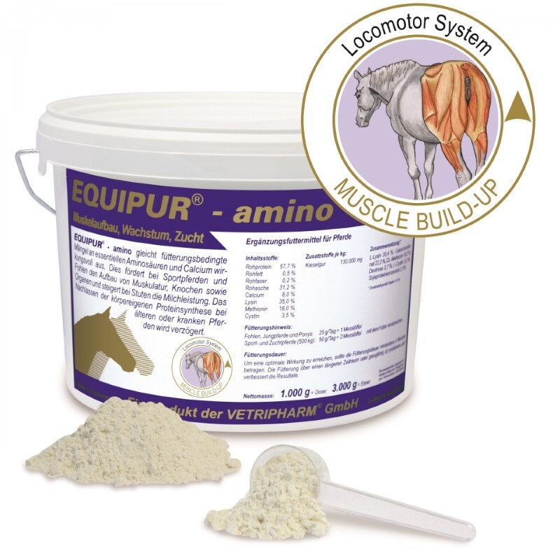 Equipur Amino / Еквипур - Амино - Image 1