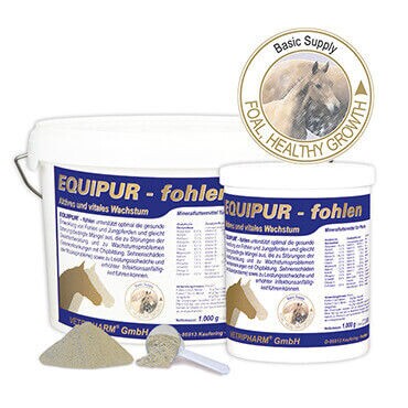 Equipur / Еквипур - Фохлен - Image 1