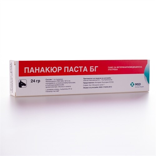 Panacure Paste BG / Панакюр паста БГ - Image 1