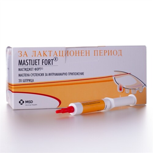 Mastijet Fort / Мастижет форт - Image 1