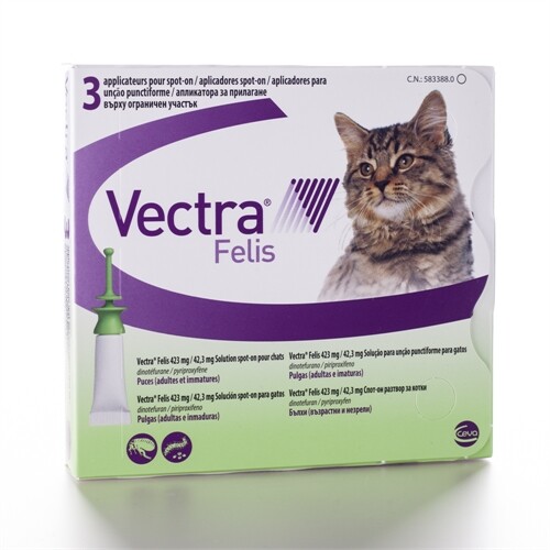 images Vectra Felis / Вектра Фелис - Image 1