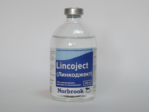 Lincoject / Линкоджект - Image 1