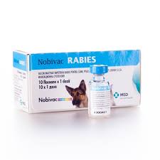 images Nobivac Rabies / Ваксина Нобивак Рабиес 1 доза - Image 1