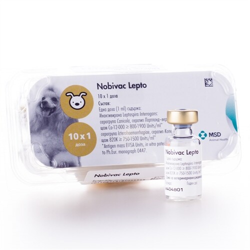 nobivac-lepto Nobivac Lepto / Ваксина Нобивак Лепто 1 доза - Image 1