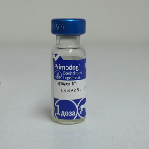 primodog Primodog / Ваксина Примодог - Image 1