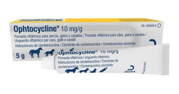 Ophtocycline 10 mg  - Офтоциклин маз за очи 10 мг - Image 1