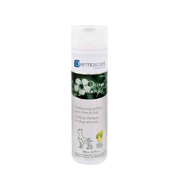 Dermoscent Pyoclean, лечебен шампоан при кожни инфекции - 200мл - Image 1