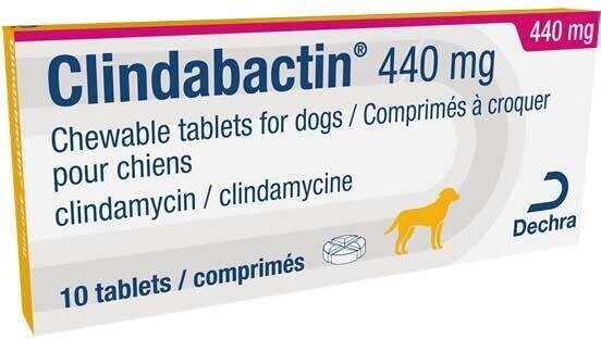 1210 Clindabactin 440 mg / Клиндабактин 440 мг - 10 таблетки - Image 1