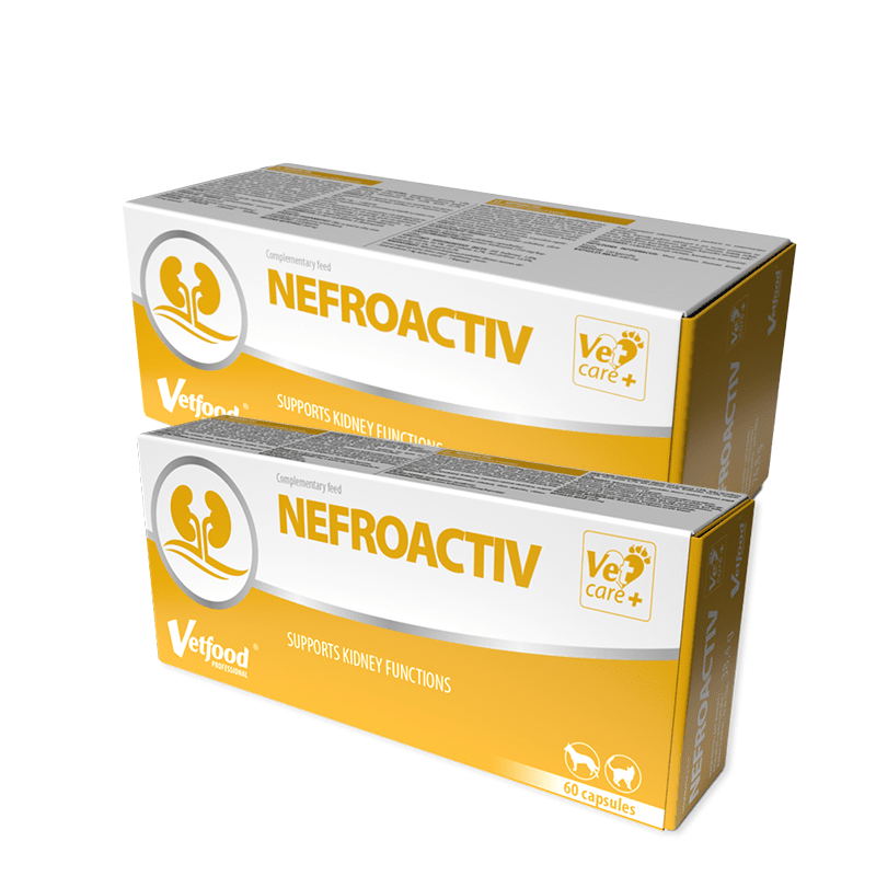 Vetfood Nefroactiv - хранителна добавка, спомагаща бъбречната функция при кучета и котки - 60 капсули - Image 1