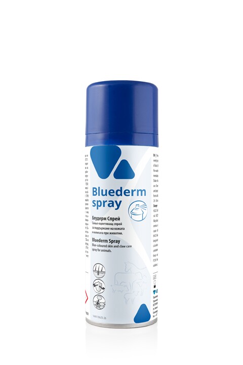 Bluederm spray  /  Спрей Блудерм 200 мл. - Image 1